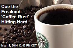 Cue the Freakout: &#39;Coffee Rust&#39; Hits Producers Hard