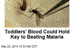 Toddlers&#39; Blood Could Hold Key to Beating Malaria