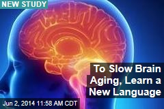 To Slow Brain Aging, Learn a New Language