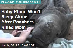 Baby Rhino Won&#39;t Sleep Alone After Poachers Killed Mom
