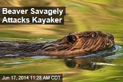 Beaver Savagely Attacks Kayaker