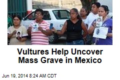 Vultures Help Uncover Mass Grave in Mexico