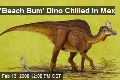 'Beach Bum' Dino Chilled in Mex