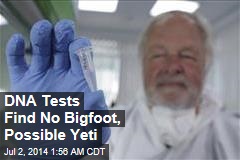 DNA Tests Find No Bigfoot, Possible Yeti