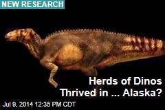 Herds of Dinos Thrived in ... Alaska?