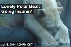 Lonely Polar Bear: Going Insane?