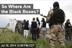 So Where Are the Black Boxes?