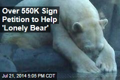 Over 550K Sign Petition to Help &#39;Lonely Bear&#39;