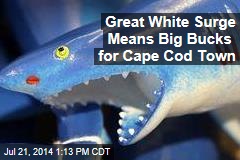 Great White Surge Means Big Bucks for Cape Cod Town