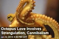 In Mating, Female Octopus Has Lethal Final Move