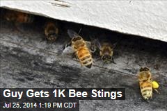 Guy Gets 1K Bee Stings