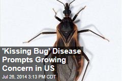 &#39;Kissing Bug&#39; Disease Prompts Growing Concern in US