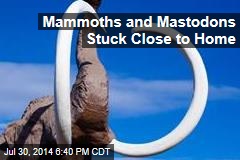 Mammoths and Mastodons Stuck Close to Home