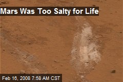 Mars Was Too Salty for Life