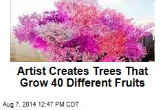 Artist Creates Trees That Grow 40 Different Fruits