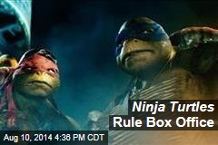 Ninja Turtles Rule Box Office