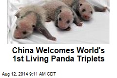 China Welcomes World&#39;s 1st Living Panda Triplets