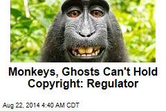 Monkeys, Ghosts Can&#39;t Hold Copyright: Regulator