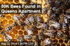 50K Bees Found in Queens Apartment