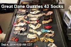 Great Dane Guzzles 43 Socks