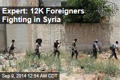 Expert: 12K Foreigners Fighting in Syria