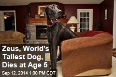 Zeus, World&#39;s Tallest Dog, Dies at Age 5