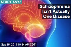 Schizophrenia Isn&#39;t Actually One Disease