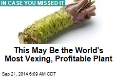 This May Be the World&#39;s Most Vexing, Profitable Plant