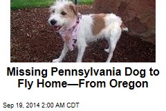 Missing Pennsylvania Dog To Fly Home&mdash;From Oregon