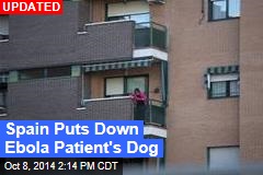 Spain to Kill Ebola Patient&#39;s Dog