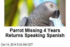 Brit&#39;s Missing Parrot Returns Speaking Spanish