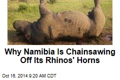 Why Namibia Is Chainsawing Off Its Rhinos&#39; Horns