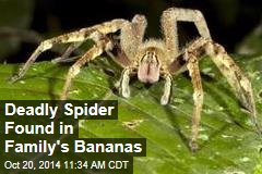 Deadly Spider Found in Family&#39;s Bananas