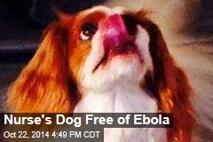 Nurse&#39;s Dog Free of Ebola