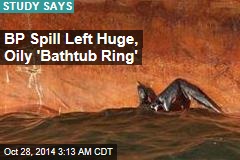 BP Spill Left Huge, Oily &#39;Bathtub Ring&#39;