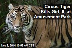 Circus Tiger Kills Girl, 8, at Amusement Park