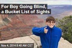 For Boy Going Blind, a Bucket List of Sights