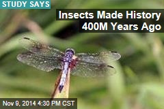 Insects Once Ruled the World