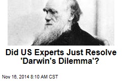 US scientists may have resolved 'Darwin's dilemma'