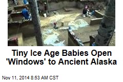 Tiny Ice Age Babies Open &#39;Windows&#39; to Ancient Alaska