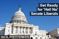 Get Ready for &#39;Hell No&#39; Senate Liberals