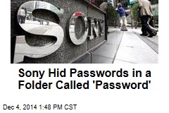 Sony Hid Passwords in a Folder Called &#39;Password&#39;