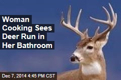Deer Breaks Into House, Ransacks Bathroom