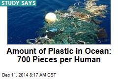 Amount of Plastic in Ocean: 700 Pieces per Human