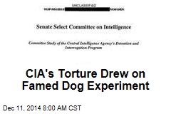 CIA&#39;s Torture Drew on Famed Dog Experiment
