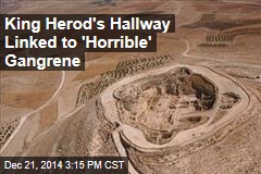 Entry to King Herod&#39;s Palace Finally Unveiled
