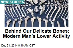 Behind Our Delicate Bones: Modern Man&#39;s Lower Activity