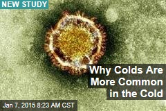 Why Colds Are More Common in the Cold