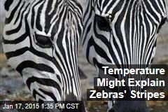 Temperature Might Explain Zebras&#39; Stripes