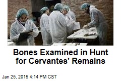 Bones Examined in Hunt for Cervantes&#39; Remains